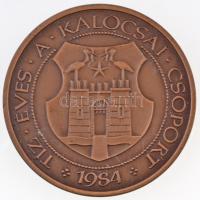 Fritz Mihály (1947-) 1984. "MÉE / Tíz éves a Kalocsai Csoport" Br emlékérem (42,5mm) + DN ...