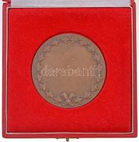 Fritz Mihály (1947-) 1984. "MÉE / Tíz éves a Kalocsai Csoport" Br emlékérem (42,5mm) + DN ...