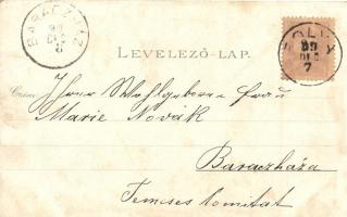 1899 Budapest, Fővárosi Vigadó, Deák, Petőfi és Eötvös szobor, Tudományos Akadémia, floral, litho