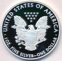 Amerikai Egyesült Államok 2008W 1$ Ag (31,1g/0.999) tanúsítvánnyal, eredeti dísztokkal és dobozzal T...