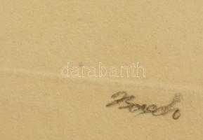 cca 1900 Basch Árpád könyvillusztrációja, színezett nyomat, későbbi szignóval, 21x16 cm