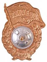 Szovjetunió ~1960-1970. "Szovjet Gárda jelvény" aranyozott, zománcozott fém jelvény csavar...