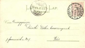 1899 Budapest, igazságügyi palota, Operaház, floral, F. Schmuck litho