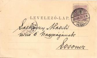 1898 Szászváros, Broos, Orastie; Főtér / main square (ázott sarok / wet corner)