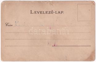 Székesfehérvár, Fejér Vármegye címere. Athenaeum kőnyomda kiadása. Szecessziós litho / coat of arms....