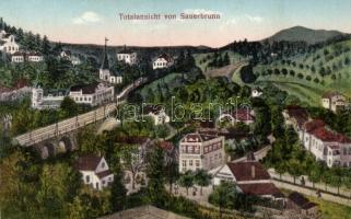 Savanyúkút, Sauerbrunn;