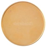 1993. "XV. Nemzetközi Gerontológiai Kongresszus - Magyarország, Budapest 1993. július 4-9."...