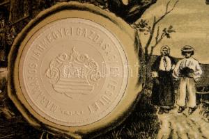 1901 A Marosvármegyei Ipaegyesület kitüntető díszoklevele Wekerle Lászlóné részére. Nagyméretű litog...