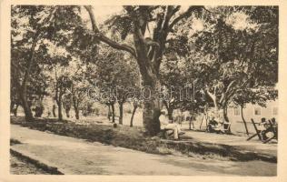 62 db főleg RÉGI horvát városképes lap, vegyes minőség / 62 mostly pre-1945 Croatian town-view postc...