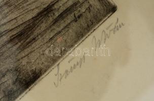 Szőnyi István (1894-1960): A régi Erzsébet-híd. Rézkarc, papír, jelzett, üvegezett keretben, 49×28 c...