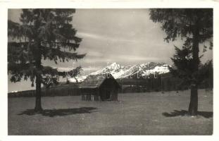 Tátra, Tatry - 63 db főleg MODERN képeslap, vegyes minőség / 63 mostly modern mixed quality postcard...