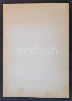 Reich Károly (1922-1988): Rajzok Nagy László "Két sörényes" c. verséhez. Bp., 1968, Kossut...