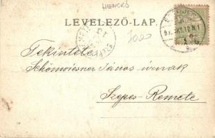 1905 Henckó, Henckovce; falu részlet / view, photo (EK)