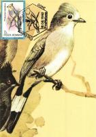 50 db VEGYES karácsonyi üdvözlő motívumlap, vegyes minőség / 50 mixed Christmas greeting motive card...