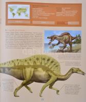 2008-2011 Dinoszauruszok 1-80. szám, a 79. szám hiányzik, valamint egy melléklet, papírkötésben, töb...