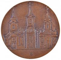 DN "Pomázért" Br plakett. Szign.: PE (80mm) T:2