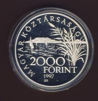 1997. 2000Ft Ag "Régi balatoni hajók I" T:PP