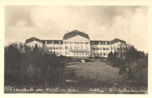 23 db főleg RÉGI osztrák városképes lap egy üdvözlőlappal / 23 mostly pre-1945 Austrian town-view po...