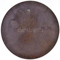 ~2000. "Kaposi Mór Oktató Kórház - Somogy megye Kaposvár" Br plakett (157,86g/106mm) T:2 /...