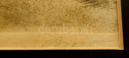 Olvashatatlan jelzéssel: Levélre várva. Színezett rézkarc, papír, sérült, üvegezett keretben, 23×17 ...