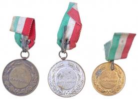 ~1930-1940. "Levente verseny" 3db sportérem szalaggal, aranyozott, ezüstözött fém díjérmek...