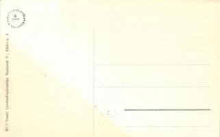 Érsekújvár, Nové Zamky; Komáromi út, Stern Jakab üzlete / street view, shops (fl)