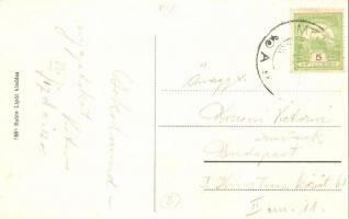 Mezőlaborc, Medzilaborce; Gróf Hoyos kastély. Rubin Lipót kiadása / castle