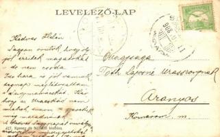 Somorja, Somorin; Király utca, Karsay és Németh üzlete és saját kiadású lapja / street view, shop (f...