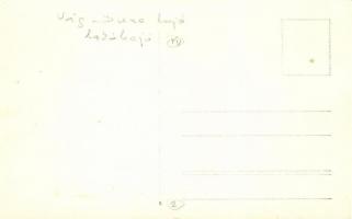 Vág-Duna lakóhajó magyar zászlóval / Houseboat with Hungarian flag, photo