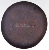 DN "Weiner Leó" egyoldalas Br plakett (~73mm) T:2 / ND "Leó Weiner" one-sided Br...