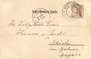 1899 Hartenstein bei Krems, Wasser-Heilanstalt, Dr. Otto Pospischil, floral (EK)