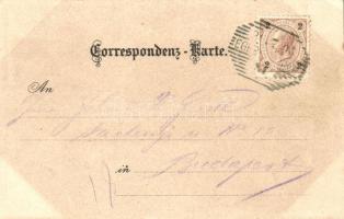 1899 Frantiskovy Lazne, Franzensbad; Kurhaus, Kaiserbad / spa, Lesk & Schwidernoch floral litho ...