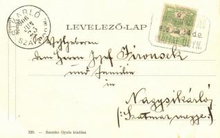 Budapest XVII. Rákoskeresztúr, Keresztúr-Nyaraló, Koller nyaraló, kiadja Szemko Gyula