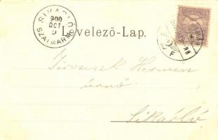 Szatmárnémeti, Satu Mare; Deák tér. Lövi Miksa kiadása / square, floral Art Nouveau