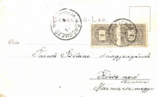 Dunaszerdahely, Dunajská Streda; zsinagóga, gőzmalom, Hal piac / synagogue, mill, fish market, Adler...