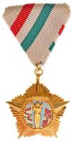 1984. Április Negyedike Érdemrend aranyozott, zománcozott Br kitüntetés mellszalaggal, T:1- / Hungary 1984. Order of Merit of April Fourth with ribbon C:AU  NMK 720.