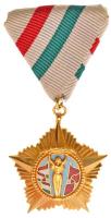 1984. Április Negyedike Érdemrend aranyozott, zománcozott Br kitüntetés mellszalaggal, T:1- / Hungary 1984. Order of Merit of April Fourth with ribbon C:AU  NMK 720.