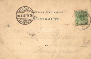 1892 (Vorläufer!) Wittekind bei Halle a. Saale, Villa Thiele, Ruine Giebichenstein, Aufgang n. d. Ku...