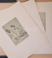 Vadász Endre: Haláltánc. Tíz rézkarc exlibris. Dr. Kardos László magyar és dr. R. Freiherr v. Hosche...