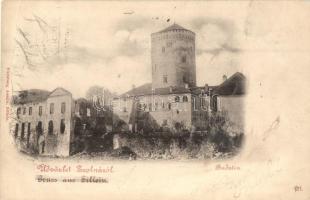 Zsolna, Zilina; Budatin vár, Nürnberg Armin kiadása / castle (b)