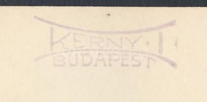 cca 1920 Kerny István (1879-1963): Esős nap a belvárosban, pecséttel jelzett vintage fotóművészeti a...