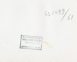 cca 1961 Dr. Csörgeő Tibor (1896-1968) pecséttel jelzett vintage reklámfotója, 18x24 cm