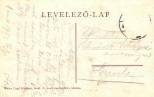 Arad, Cigányok tábora. Weisz Hugó felvétele / gypsy camp  (EK)