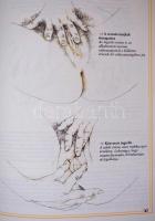 Maurice Yaffé, Elizabeth Fenwick: A nemi öröm. Gyakorlati útmutató. Illusztrálta Charles Raymond. Bp...