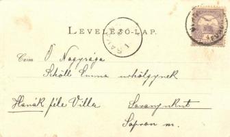 Vihnyefürdő, Vyhnye; Gecsányi villa, reklámlap. Joerges A. özvegye és fia / villa advertisement (kis...