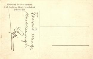 Tőketerebes, Trebisov;  Andrássy Gyula kastélyának parkja / castle park (EK)