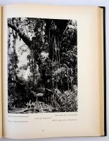 Südamerika. Westindien, Zentralamerika. Landschaft, volksleben, baukunst. Orbis Terrarum. Berlin-Zür...