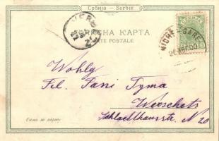 Nis, Turkish house, Jagodin Mala, coat of arms, grapes. Petar Arandjelovic Art Nouveau litho