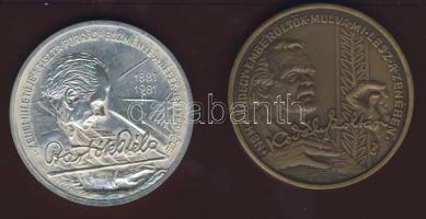 1981. "MÉE-Bartók" Ag + Br emlékplakett pár T:1/2