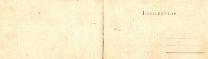 Budapest, Látkép a budai oldalról, litho panorámalap / panoramacard litho s: Rosenberger